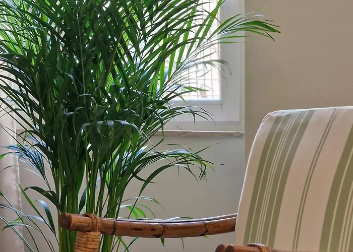 Pola - By Host Hero Vakantiehuis *