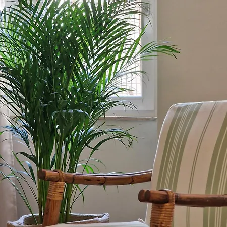 New & Spacious - Centre By Host Hero Tatil Evi *